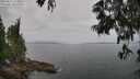 ./images/koeye/fitz-hugh/20250611/fitz-hugh20250611_113011M.jpg