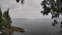 ./images/koeye/fitz-hugh/20250611/fitz-hugh20250611_114011M.jpg