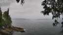 ./images/koeye/fitz-hugh/20250611/fitz-hugh20250611_114511M.jpg
