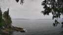 ./images/koeye/fitz-hugh/20250611/fitz-hugh20250611_115010M.jpg