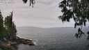 ./images/koeye/fitz-hugh/20250611/fitz-hugh20250611_123010M.jpg