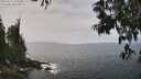 ./images/koeye/fitz-hugh/20250611/fitz-hugh20250611_123507M.jpg