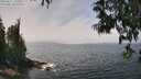 ./images/koeye/fitz-hugh/20250611/fitz-hugh20250611_131011M.jpg