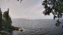 ./images/koeye/fitz-hugh/20250611/fitz-hugh20250611_133011M.jpg