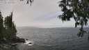 ./images/koeye/fitz-hugh/20250611/fitz-hugh20250611_141511M.jpg