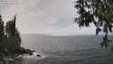 ./images/koeye/fitz-hugh/20250611/fitz-hugh20250611_142510M.jpg