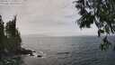 ./images/koeye/fitz-hugh/20250611/fitz-hugh20250611_144509M.jpg