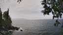 ./images/koeye/fitz-hugh/20250611/fitz-hugh20250611_145009M.jpg