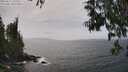 ./images/koeye/fitz-hugh/20250611/fitz-hugh20250611_145510M.jpg