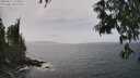 ./images/koeye/fitz-hugh/20250611/fitz-hugh20250611_150011M.jpg