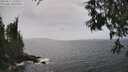 ./images/koeye/fitz-hugh/20250611/fitz-hugh20250611_152511M.jpg
