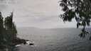 ./images/koeye/fitz-hugh/20250611/fitz-hugh20250611_155011M.jpg