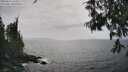 ./images/koeye/fitz-hugh/20250611/fitz-hugh20250611_160510M.jpg