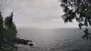 ./images/koeye/fitz-hugh/20250611/fitz-hugh20250611_162009M.jpg