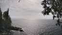 ./images/koeye/fitz-hugh/20250611/fitz-hugh20250611_163011M.jpg