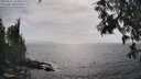 ./images/koeye/fitz-hugh/20250611/fitz-hugh20250611_164012M.jpg