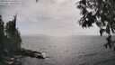 ./images/koeye/fitz-hugh/20250611/fitz-hugh20250611_164511M.jpg