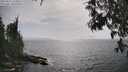./images/koeye/fitz-hugh/20250611/fitz-hugh20250611_165010M.jpg