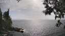 ./images/koeye/fitz-hugh/20250611/fitz-hugh20250611_165509M.jpg