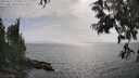 ./images/koeye/fitz-hugh/20250611/fitz-hugh20250611_171011M.jpg