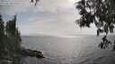 ./images/koeye/fitz-hugh/20250611/fitz-hugh20250611_171512M.jpg