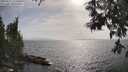 ./images/koeye/fitz-hugh/20250611/fitz-hugh20250611_172009M.jpg