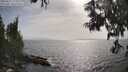 ./images/koeye/fitz-hugh/20250611/fitz-hugh20250611_172510M.jpg