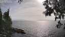 ./images/koeye/fitz-hugh/20250611/fitz-hugh20250611_173012M.jpg
