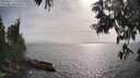 ./images/koeye/fitz-hugh/20250611/fitz-hugh20250611_173509M.jpg