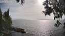 ./images/koeye/fitz-hugh/20250611/fitz-hugh20250611_174011M.jpg