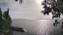 ./images/koeye/fitz-hugh/20250611/fitz-hugh20250611_174511M.jpg