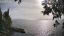 ./images/koeye/fitz-hugh/20250611/fitz-hugh20250611_175510M.jpg