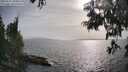 ./images/koeye/fitz-hugh/20250611/fitz-hugh20250611_180013M.jpg