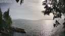 ./images/koeye/fitz-hugh/20250611/fitz-hugh20250611_182010M.jpg