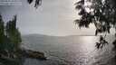 ./images/koeye/fitz-hugh/20250611/fitz-hugh20250611_183012M.jpg