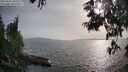 ./images/koeye/fitz-hugh/20250611/fitz-hugh20250611_184509M.jpg