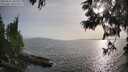 ./images/koeye/fitz-hugh/20250611/fitz-hugh20250611_185510M.jpg