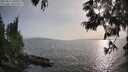 ./images/koeye/fitz-hugh/20250611/fitz-hugh20250611_190010M.jpg