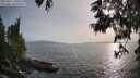 ./images/koeye/fitz-hugh/20250611/fitz-hugh20250611_190507M.jpg