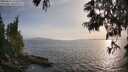 ./images/koeye/fitz-hugh/20250611/fitz-hugh20250611_192509M.jpg