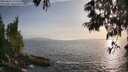 ./images/koeye/fitz-hugh/20250611/fitz-hugh20250611_193508M.jpg