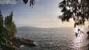 ./images/koeye/fitz-hugh/20250611/fitz-hugh20250611_194010M.jpg