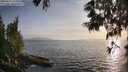 ./images/koeye/fitz-hugh/20250611/fitz-hugh20250611_194509M.jpg