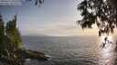 ./images/koeye/fitz-hugh/20250611/fitz-hugh20250611_195509M.jpg