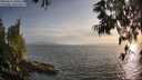 ./images/koeye/fitz-hugh/20250611/fitz-hugh20250611_200508M.jpg