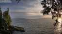 ./images/koeye/fitz-hugh/20250611/fitz-hugh20250611_202509M.jpg