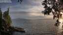 ./images/koeye/fitz-hugh/20250611/fitz-hugh20250611_203010M.jpg