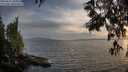 ./images/koeye/fitz-hugh/20250611/fitz-hugh20250611_203507M.jpg