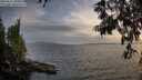 ./images/koeye/fitz-hugh/20250611/fitz-hugh20250611_204009M.jpg