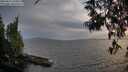 ./images/koeye/fitz-hugh/20250611/fitz-hugh20250611_210009M.jpg